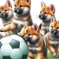 W2A Cute Asian Dholes with Soccer Ball Hello Dhole-y