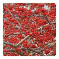 Bright Red Winterberries Holly Tree Berries Trivet