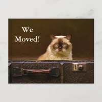 We Moved! New Address Announcement cat in suitcase