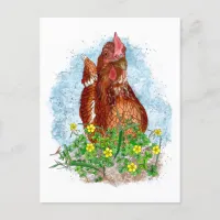 Hand drawn Chicken Art  Postcard