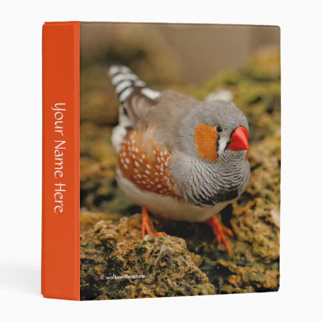 Male Zebra Finch on the Rocks Mini Binder