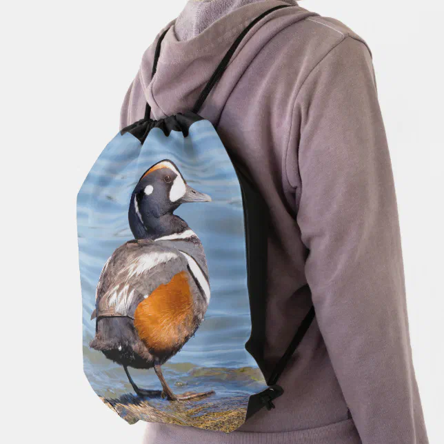 Beautiful Harlequin Duck on Sunny Beach Drawstring Bag