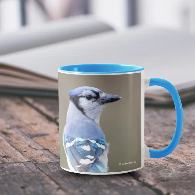 Cute Blue Jay Songbird on Treestump Mug