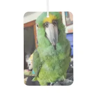 Add Your Favorite Parrot, Bird Photos to these  Air Freshener