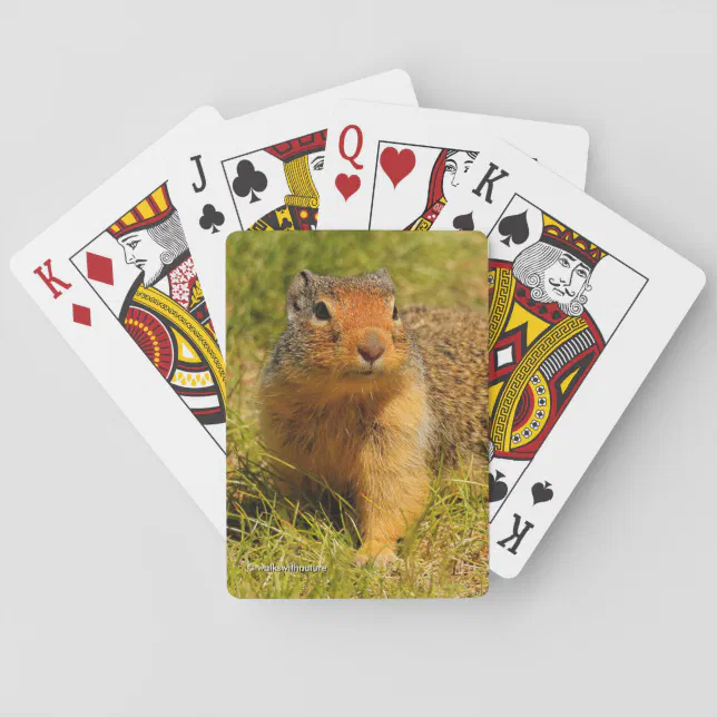 Cute Columbian Ground Squirrel in the Grass Poker Cards