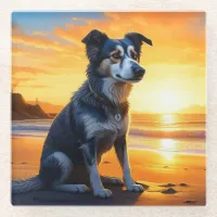 Cute Dog on Beach at Sunset  Glass Coaster