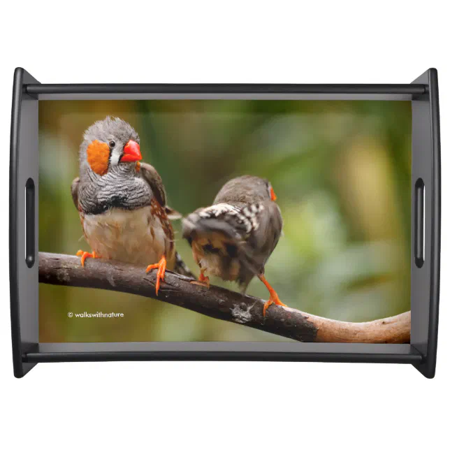 A Cheeky Pair of Zebra Finches Serving Tray