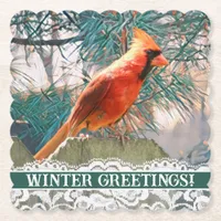 Cardinal in Front of Pine Tree Winter Paper Coaster