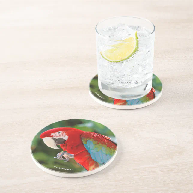Pretty Green-Winged Macaw Parrot Bird Coaster