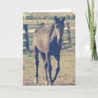 Friendly Horse Card