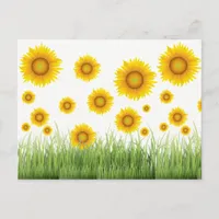 Bright and Elegant Sun Flower Graphic Design Postcard