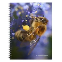 Beautiful Honeybee on the California Lilac Notebook