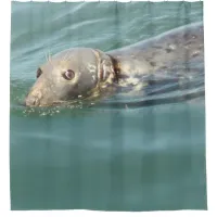 Cute Curious Seal Looking at you  Shower Curtain