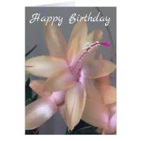 *~* Happy Birthday Flower Photography  Customize