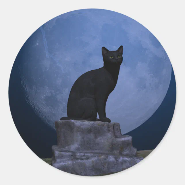 Moonlit Cat Classic Round Sticker