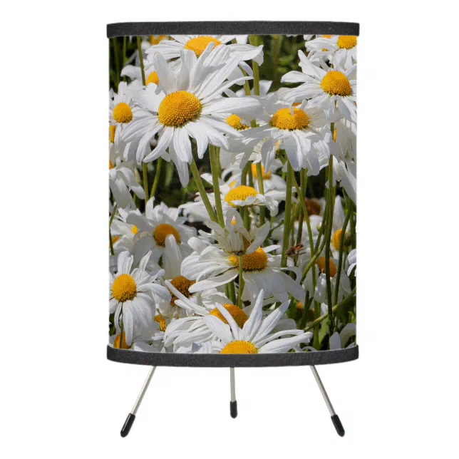 A Field of Oxeye Daisies Tripod Lamp
