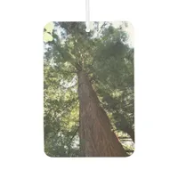 Giant Redwood Sequoia Treetop Muir Woods Forest Air Freshener