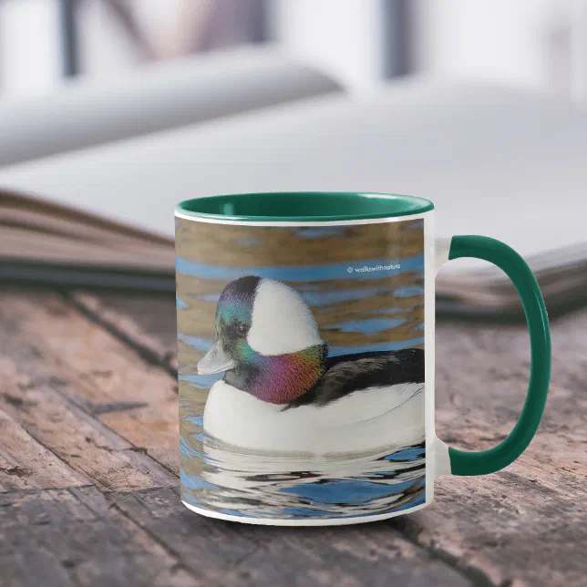 Male Bufflehead Duck in the Afternoon Sun Mug