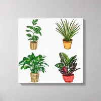 Hand drawn Houseplant Art Canvas