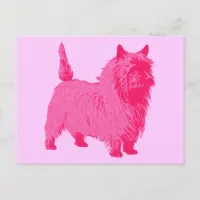 Pink Cairn Terrier Postcard