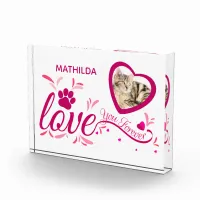 Pet Memorial Souvenir Pink Heart Paw "I love You" Photo Block