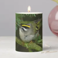 Cute Kinglet Songbird Causes a Stir in the Fir Pillar Candle