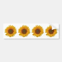 Just Sunflowers | Floral Photo Bumper Sticker