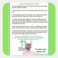 How to Remove a Tick Instructions Card for Lyme Square Sticker