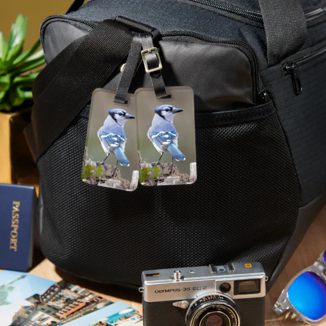 Cute Blue Jay Songbird on Treestump Luggage Tag