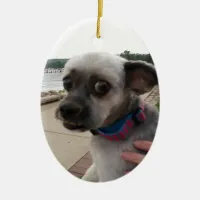 Add your Dog's Photo to this Ornament