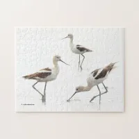 Stunning American Avocets Birds on the Beach Jigsaw Puzzle
