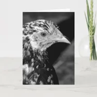 Ancona Hen Card