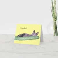 Card - Greeting - Gray kitten