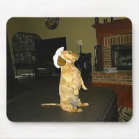 Sitting Pretty or Watching TV Dachshund Mouse Pad