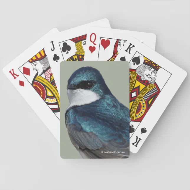 Handsome Tree Swallow Songbird on a Wire Poker Cards