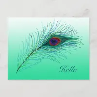 Hello, Keeping in Touch Peacock Feathers Postcard