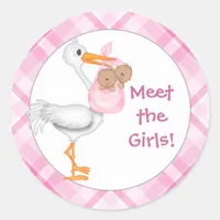 Stork & Twin Girls (dark skin) Baby Announcement Classic Round Sticker