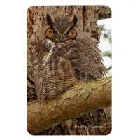 Great Horned Owl in the Douglas Fir Magnet