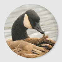 Canada Goose on the Lake Magnet