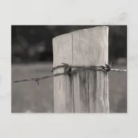 Fence Post and Barbed Wire Postcard