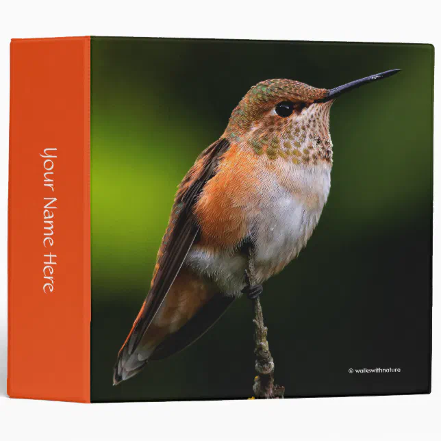 Adorable Rufous Hummingbird on Branch Binder