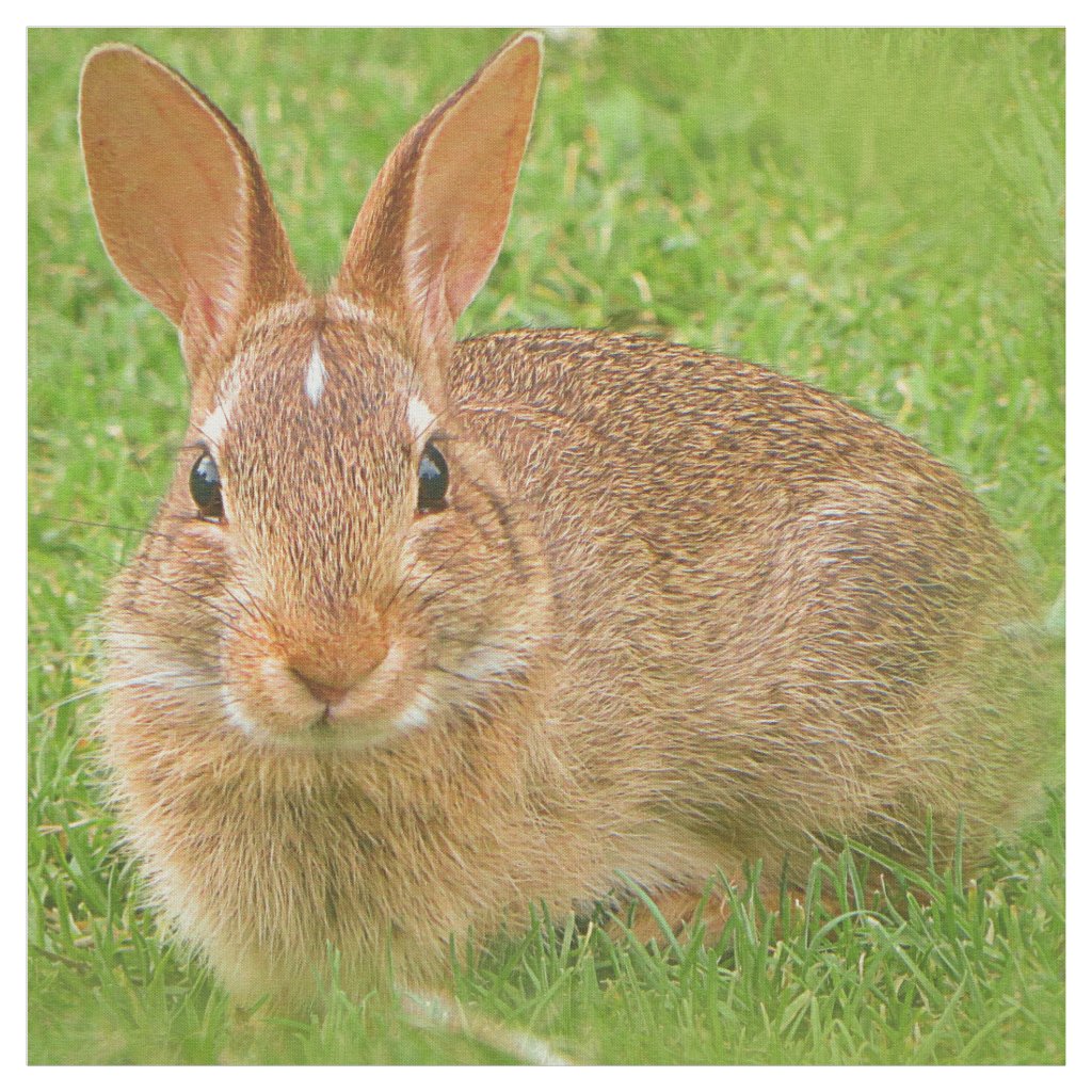 Cute Bunny Chewing Greens on the Golf Fairway Fabric