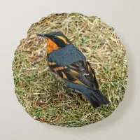 Stunning Varied Thrush on the Lawn Round Pillow