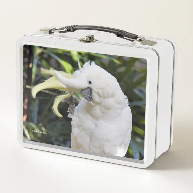 Funny Sulfur-Crested Cockatoo Parrot Bird Waves Metal Lunch Box