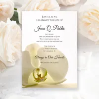 White Orchid Flower Celebration of Life Memorial Invitation