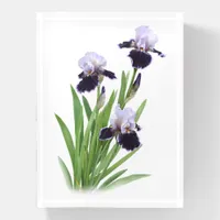 Purple Iris Trio Paperweight