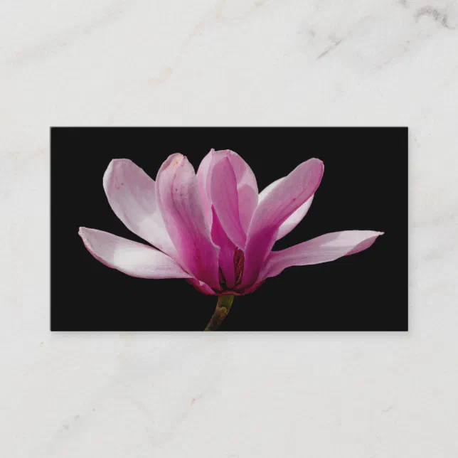 Pink Saucer Magnolia Blossoms Business Card