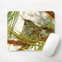 Stunning Anna's Hummingbird Mom on Nest Mouse Pad