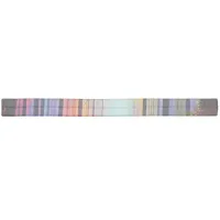 Dreamy Rainbow Colored Forest Trail Digital AI Art Elastic Hair Tie