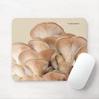 Closeup of An Oyster Mushroom Colony Mouse Pad